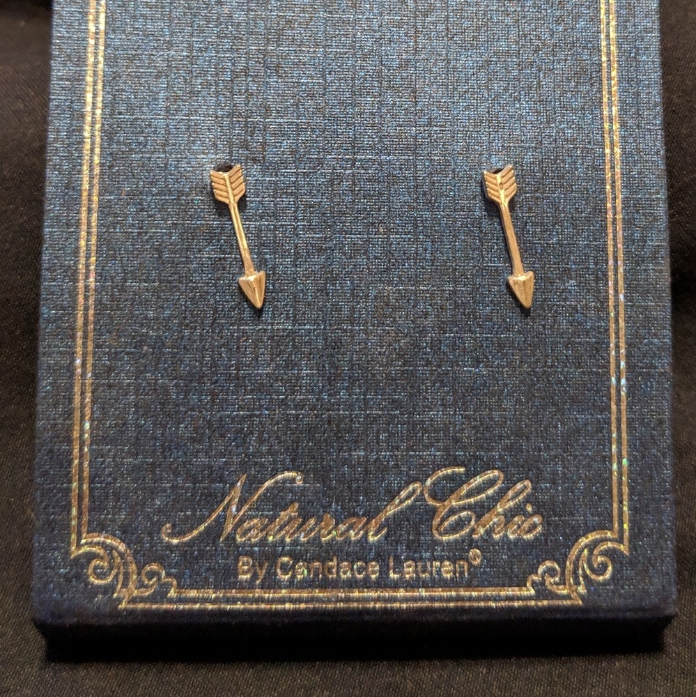 Silver arrow earrings
